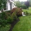 Evergreen border