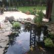Water feature