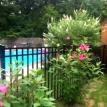 Color around pool