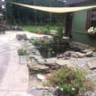 Pond