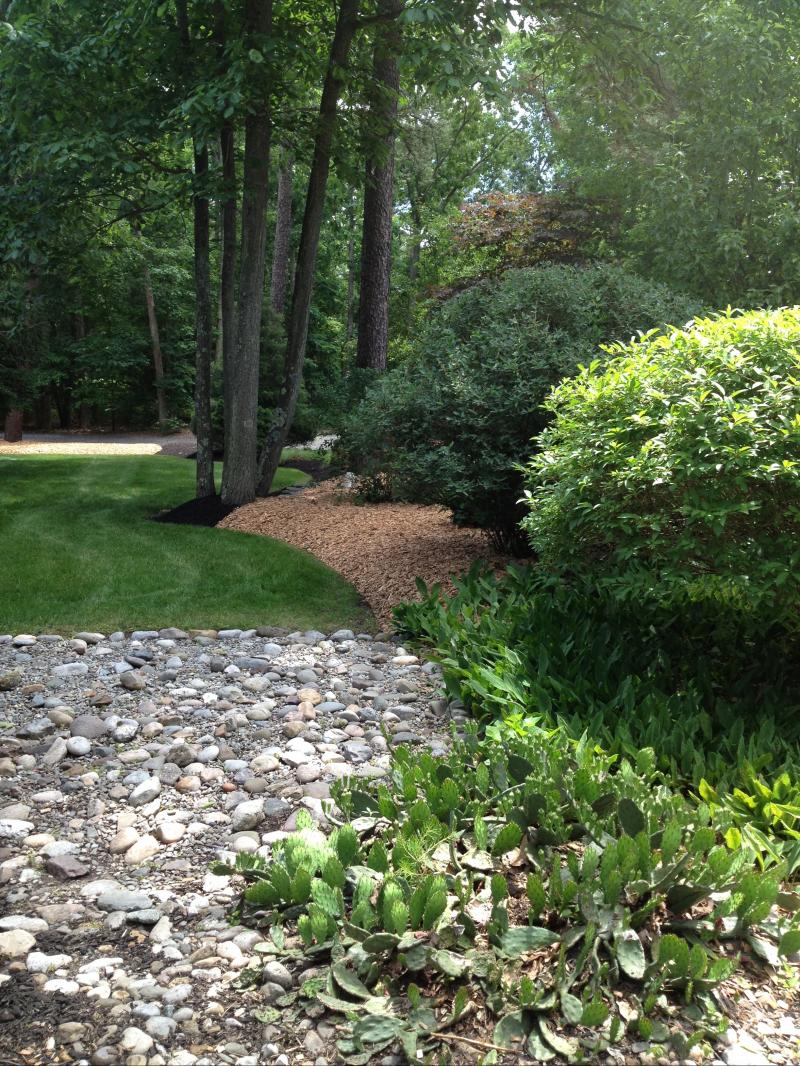 Mixed natural materials add texture and color 