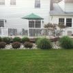 Plantings along the back deck