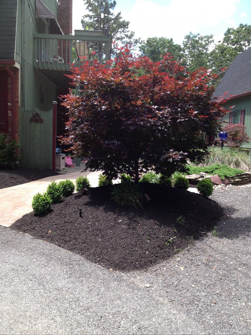 Using color and natural materials for a focal point