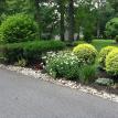 Plants along a driveway