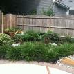 Natural plants